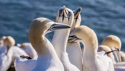 开云中国大陆-乌克兰队惨败瑞士：无缘晋级四强淘汰赛出局，乌克兰vs瑞士90分钟