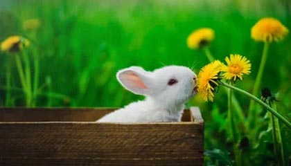 开云中国大陆-乌克兰队惨败瑞士：无缘晋级四强淘汰赛出局，乌克兰vs瑞士90分钟